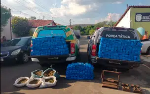 PM apreende mais de 500 tabletes de maconha com dono de sítio no Piauí