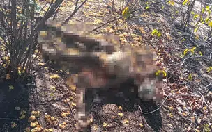 Ossada humana é encontrada às margens de rodovia no sul do Piauí