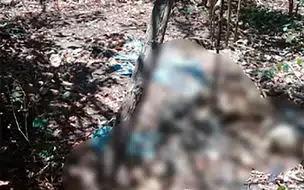Populares encontram ossada humana em matagal na zona sudeste de Teresina