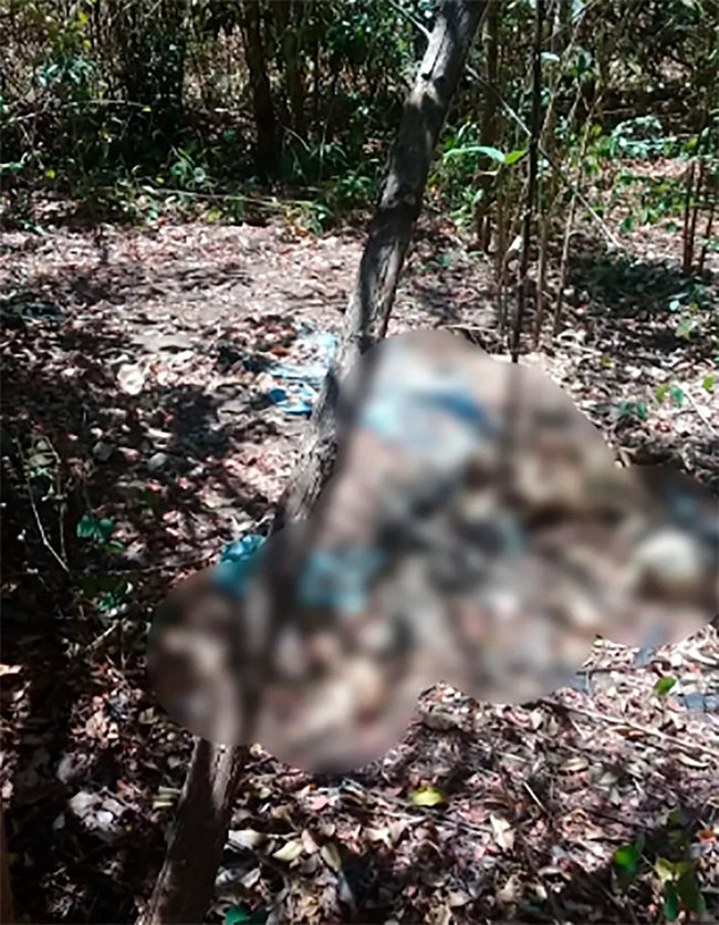 Restos humanos foram encontrados em matagal na Usina Santana