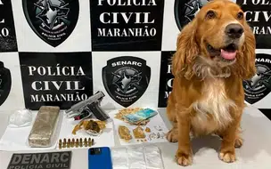 Homem é preso em flagrante com armas e drogas no Cidade Nova em Timon