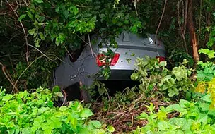 Família se envolve em acidente na BR 343 em Francisco Ayres, ninguém se feriu