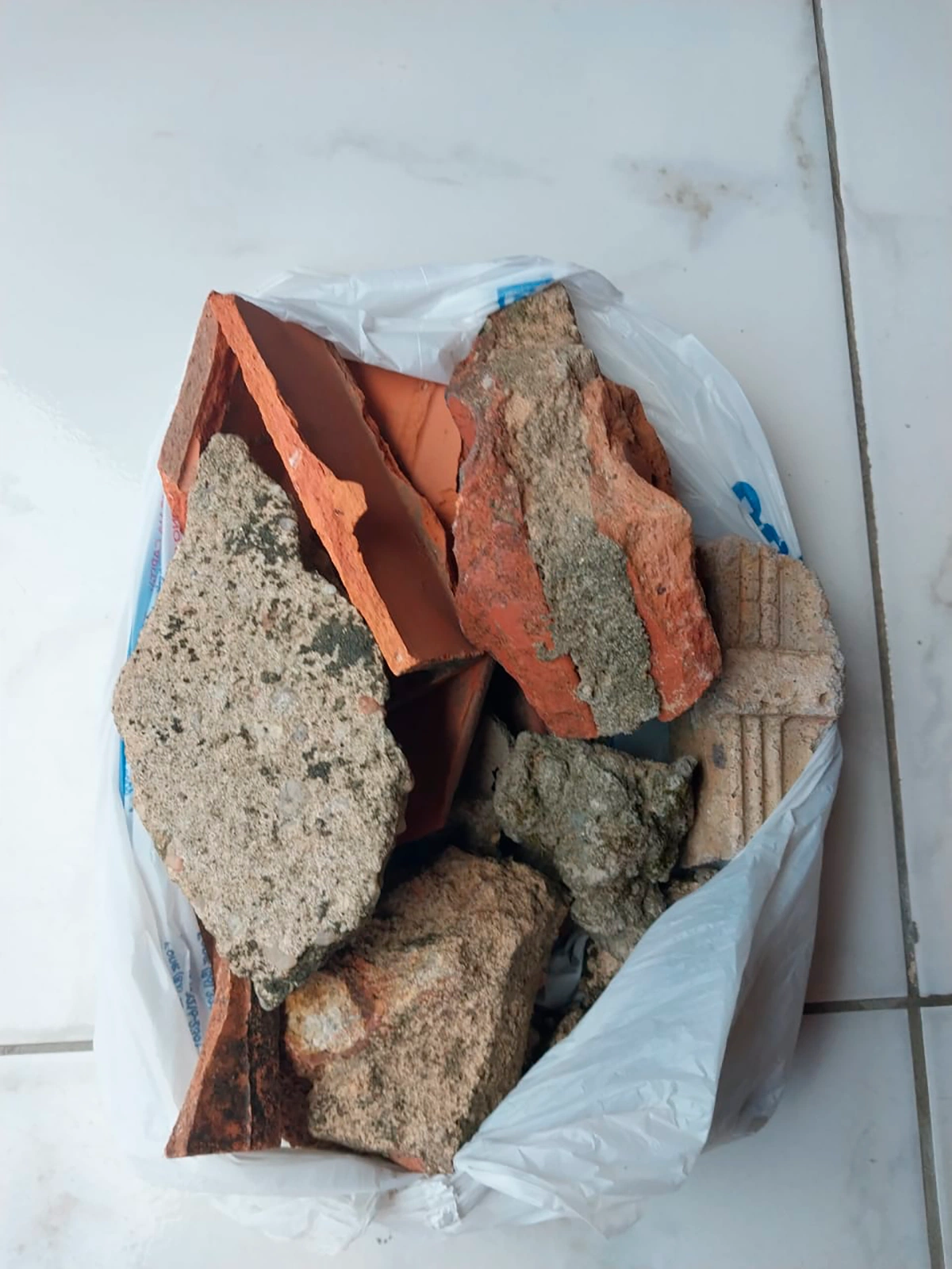 Além de alimentos envenenados, os animais são atacados a pedradas e tijoladas