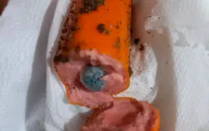 Moradora denuncia morte de animais por envenenamento na zona sudeste de Teresina