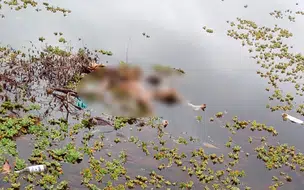 Corpo com genitália mutilada é encontrado em lagoa na zona norte de Teresina