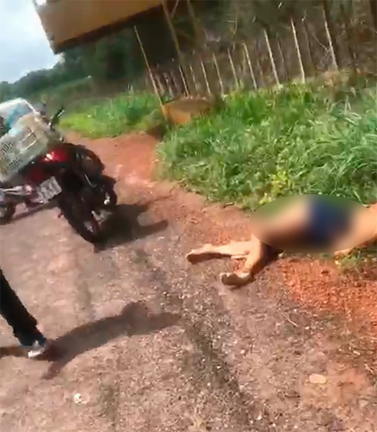 Josélia morreu após ser colhida por um carro de passeio quando realizava uma curva