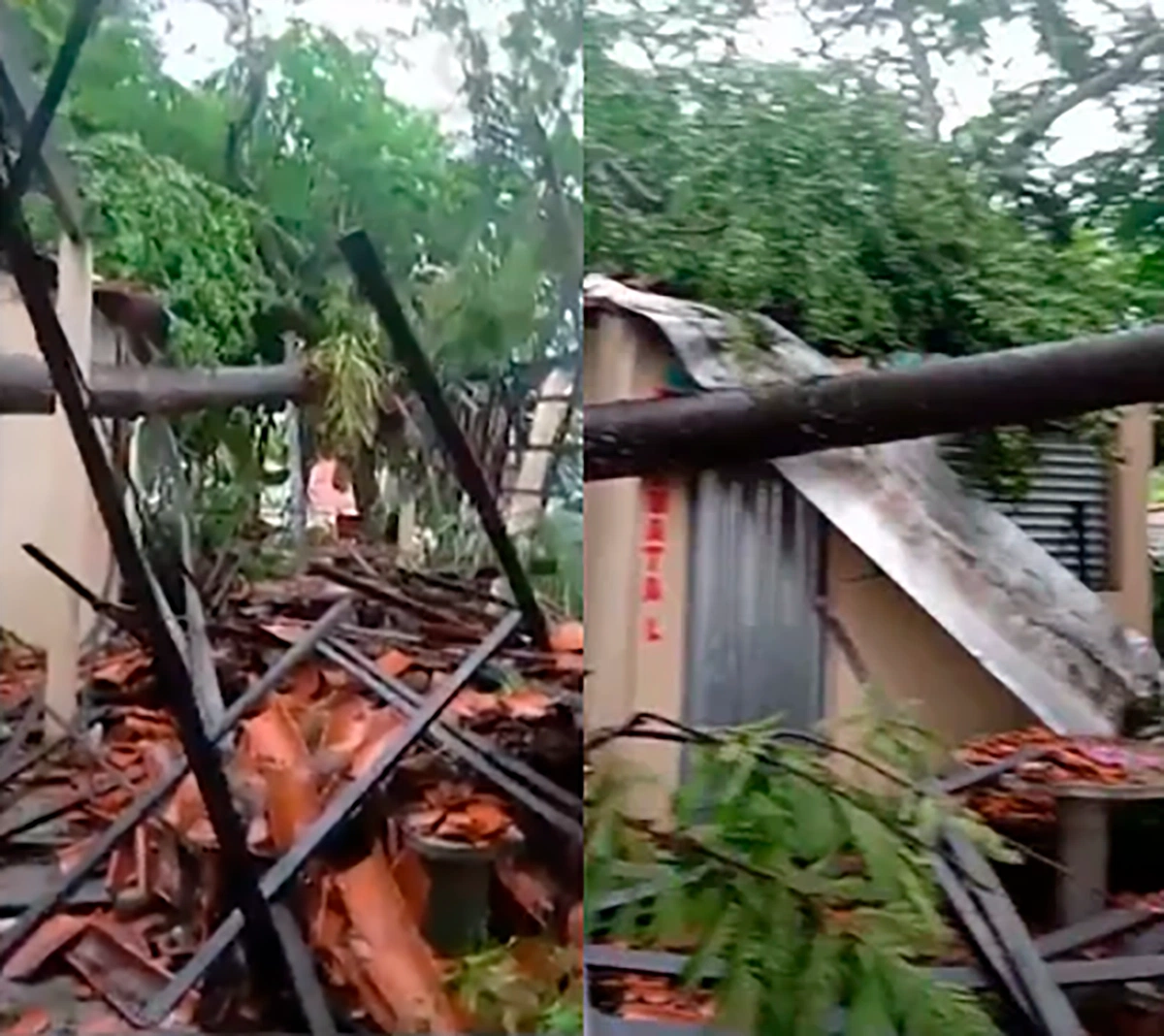 Local ficou destruído após a queda de uma árvore durante a forte chuva que ocorreu em Teresina na madrugada da última quarta-feira 18