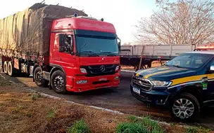 PRF apreende quase 22m³ de madeira ilegal em Batalha