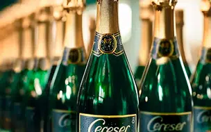 Anvisa determina recolhimento de lotes de Sidra Cereser com fragmentos de vidro