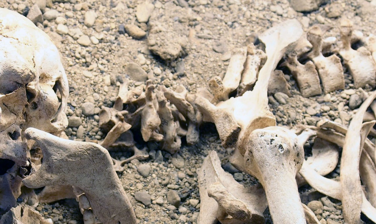 Ossada humana encontrada em matagal