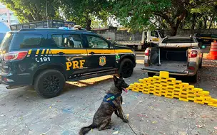 PRF apreende mais de 60 kg de drogas e prende uma pessoa em Teresina