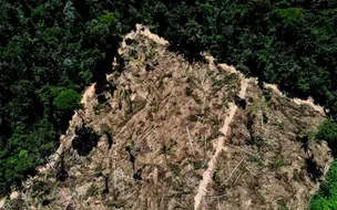 COP28 aprova fundo climático de perdas e danos para países vulneráveis