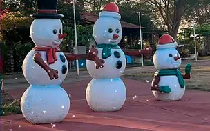 Prefeitura anuncia instalação de máquina de neve em parque de Teresina