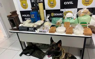 Polícia prende homem e apreende drogas em sítio no Maranhão