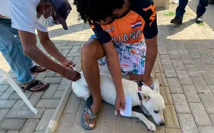 Confira o cronograma de vacinação antirrábica para dezembro em Teresina