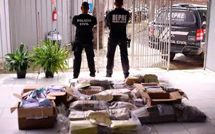 Polícia apreendeu quase meia tonelada de drogas no Piauí em 2023