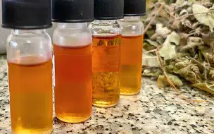 Óleo essencial de alecrim-do-mato tem potencial antifúngico; saiba mais