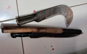 Homem tenta matar o próprio sobrinho com foice, para se vingar do irmão no Piauí