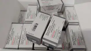 Chegam ao Piauí primeiras doses de vacinas bivalentes contra Covid-19