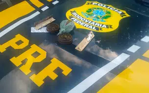 Motorista de caminhão é flagrado com maconha na BR-316 em Teresina