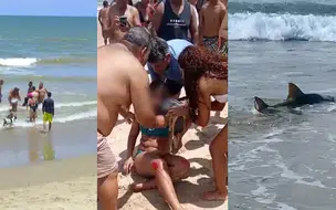 Um novo ataque de tubarão foi registrado na praia de Piedade (PE)