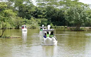 Passeio de pedalinho é inaugurado no Zoobotânico em Teresina