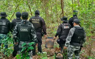 Polícia desarticula possível laboratório de drogas no Piauí