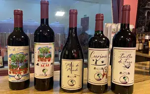 Vinho de açaí estudo mostram que Fermentado de açaí tem é similar ao vinho tinto