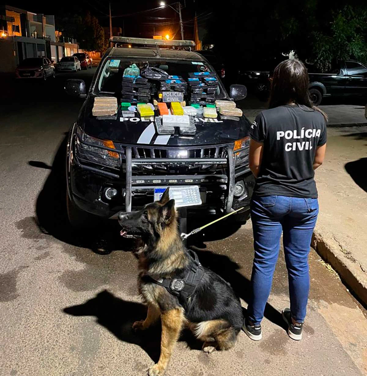 Gerência de Inteligência da Polícia Civil (GIPC) e Núcleo de Operações com Cães (NOC).