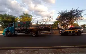 Caminhoneiro é autuado por porte de drogas para consumo e crime ambiental no PI