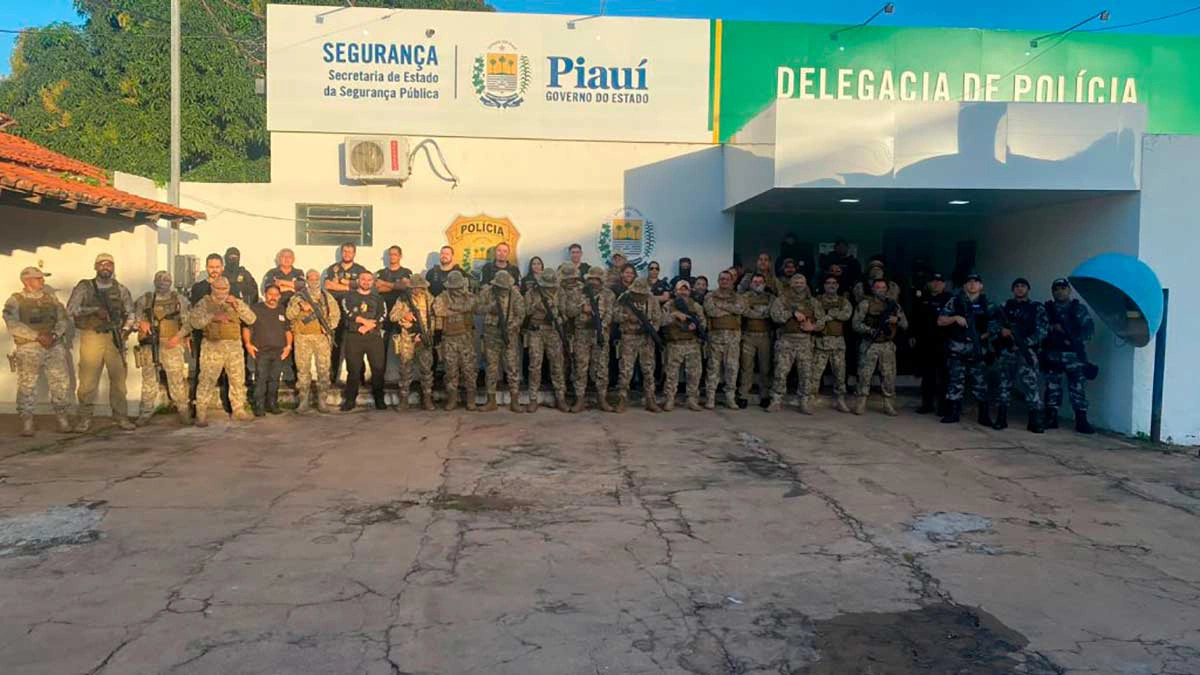 Participam da operação policiais civis, militares e policiais componentes da Força Integrada de Segurança Pública. De acordo com a Gerência de Polícia do Interior, a ação policial concerne aos procedimentos policiais que apuram crimes de roubo e tráfico de drogas naquela cidade.