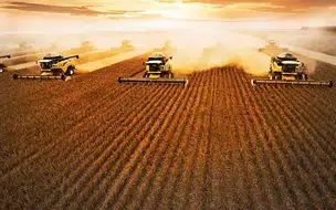 Piauí tem crescimento na balança comercial no primeiro semestre de 2023