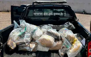Polícia realiza incineração de 190 kg de entorpecentes na cidade de Picos