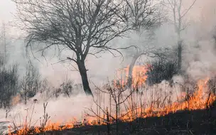 Corpo de Bombeiros dá dicas de como evitar incêndio durante o B-R-O Bró
