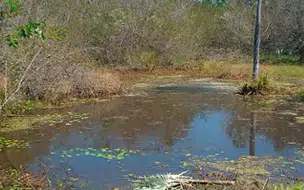 Corpo de recém-nascida é encontrado em açude no Piauí, mãe diz que nasceu morta