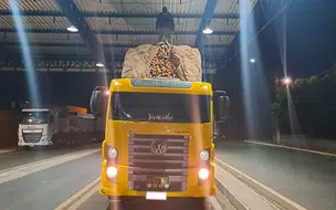 Caminhoneiro é autuado por transporte ilegal de madeira na cidade de Piripiri