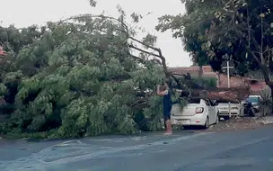 Carro fica destruído após ventania na tarde de hoje em Teresina