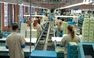 Taxa de desemprego no Brasil cai para 6,4% entre julho e setembro, diz IBGE