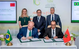 Marrocos isenta Brasil de impostos na importação de carne bovina e ovina