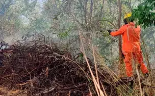 Incêndio em vegetação assusta moradores da zona rural de Nazária