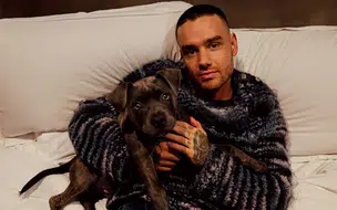 Ex-vocalista do One Direction, Liam Payne, é encontrado morto na Argentina