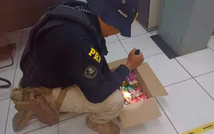 Dois homens são presos em flagrante com medicamentos furtados em Timon