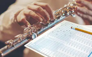 Processo Seletivo UFJF: Vaga para Professor Substituto em Música - Flauta