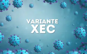 Variante XEC da Covid-19 é detectada no Rio de Janeiro: O que se Sabe Até Agora