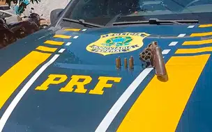 Motorista é preso após mentir para a PRF e esconder arma de fogo carregada