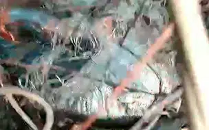 Corpo em saco é encontrado às margens da PI-115 entre Coivaras e Campo Maior