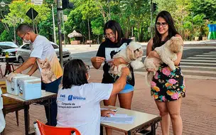 Vacinação contra a raiva acontece na zona rural Leste neste sábado 30