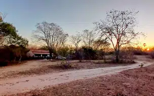 Cerca de 31% da população no Piauí reside em áreas rurais, diz IBGE