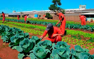 Projeto de Incentivo ao trabalho no sistema prisional é aprovado na Alepi