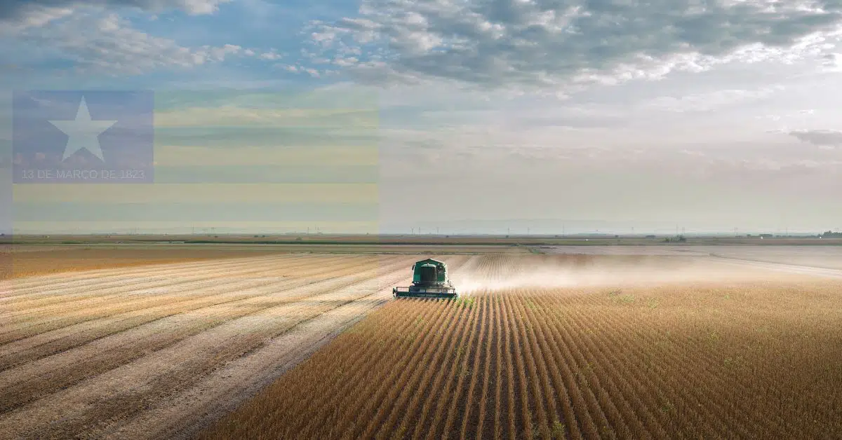 Baixa Grande do Ribeiro e Uruçuí estão entre os 50 maiores produtores de grãos do Brasil